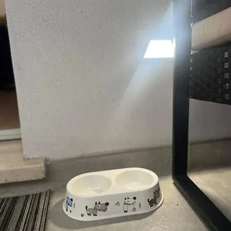 게스트하우스 Teodorico &